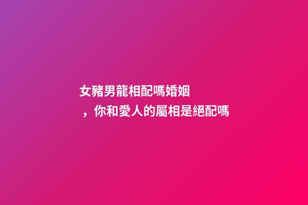 女豬男龍相配嗎婚姻，你和愛人的屬相是絕配嗎